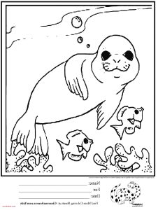 Картинка за оцветяване * Тюленче и рибки