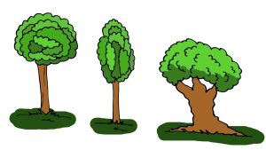 3 лесни начина за рисуване на дърво