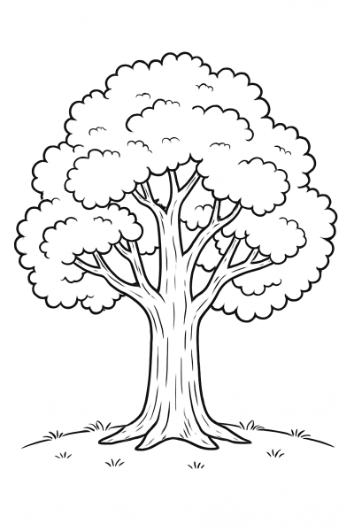 Великолепный дуб – Раскраска ко Дню дерева