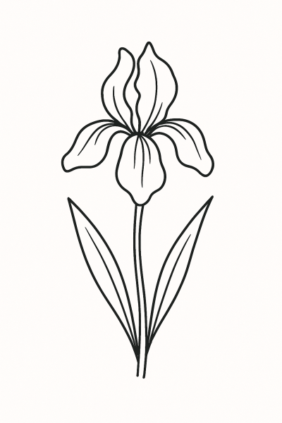 Изящна рисунка на ирис – картинка за принтиране и оцветяване