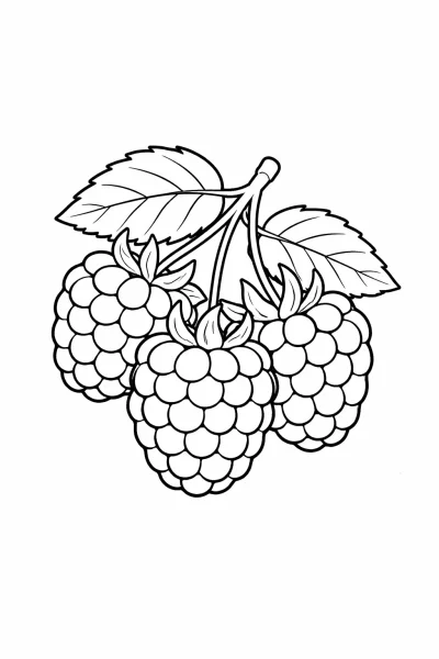 Лесна картинка за оцветяване на малини за деца (прост плодов дизайн за печат)