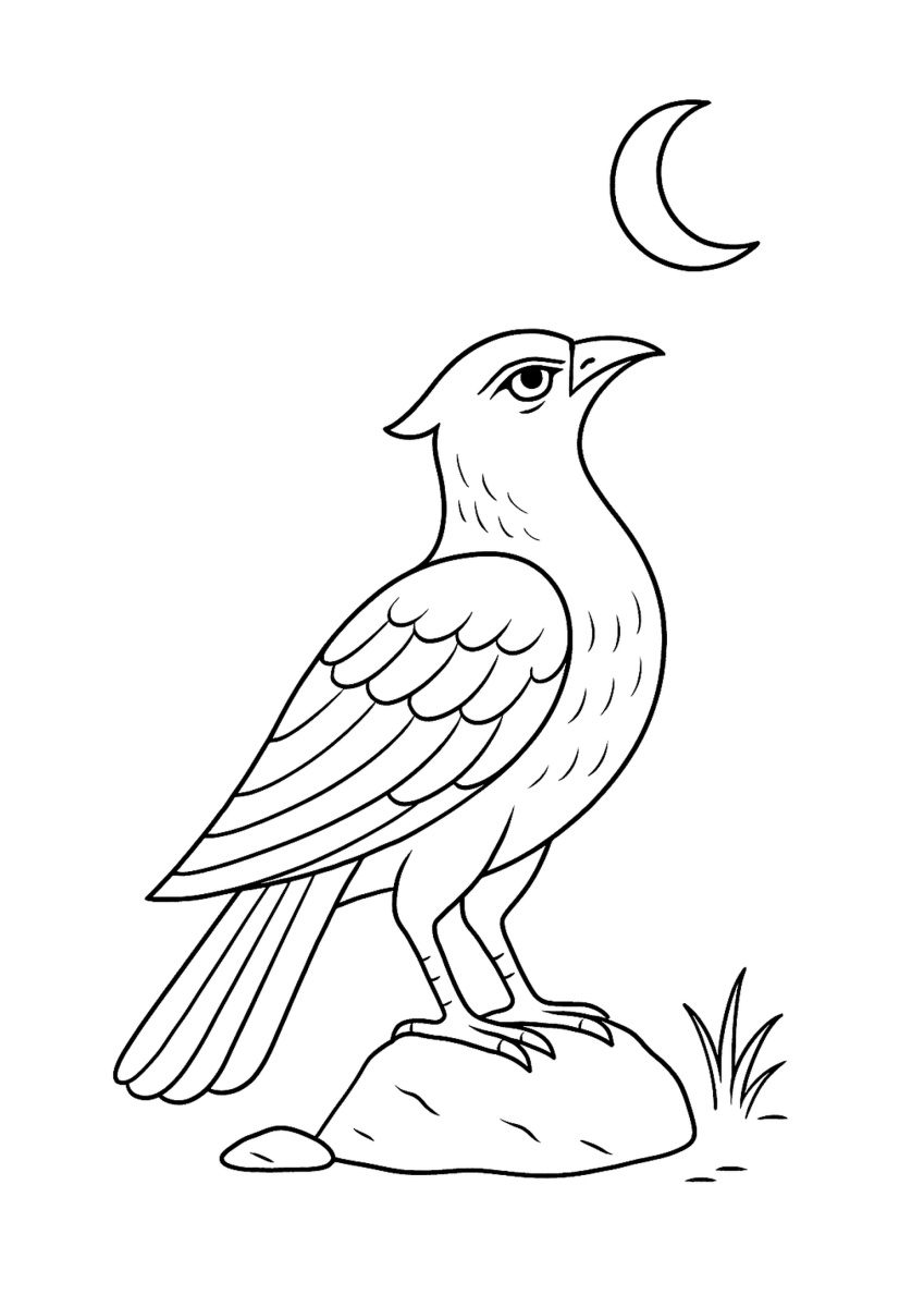 Dibujo para colorear del Ave Lunar Chakora