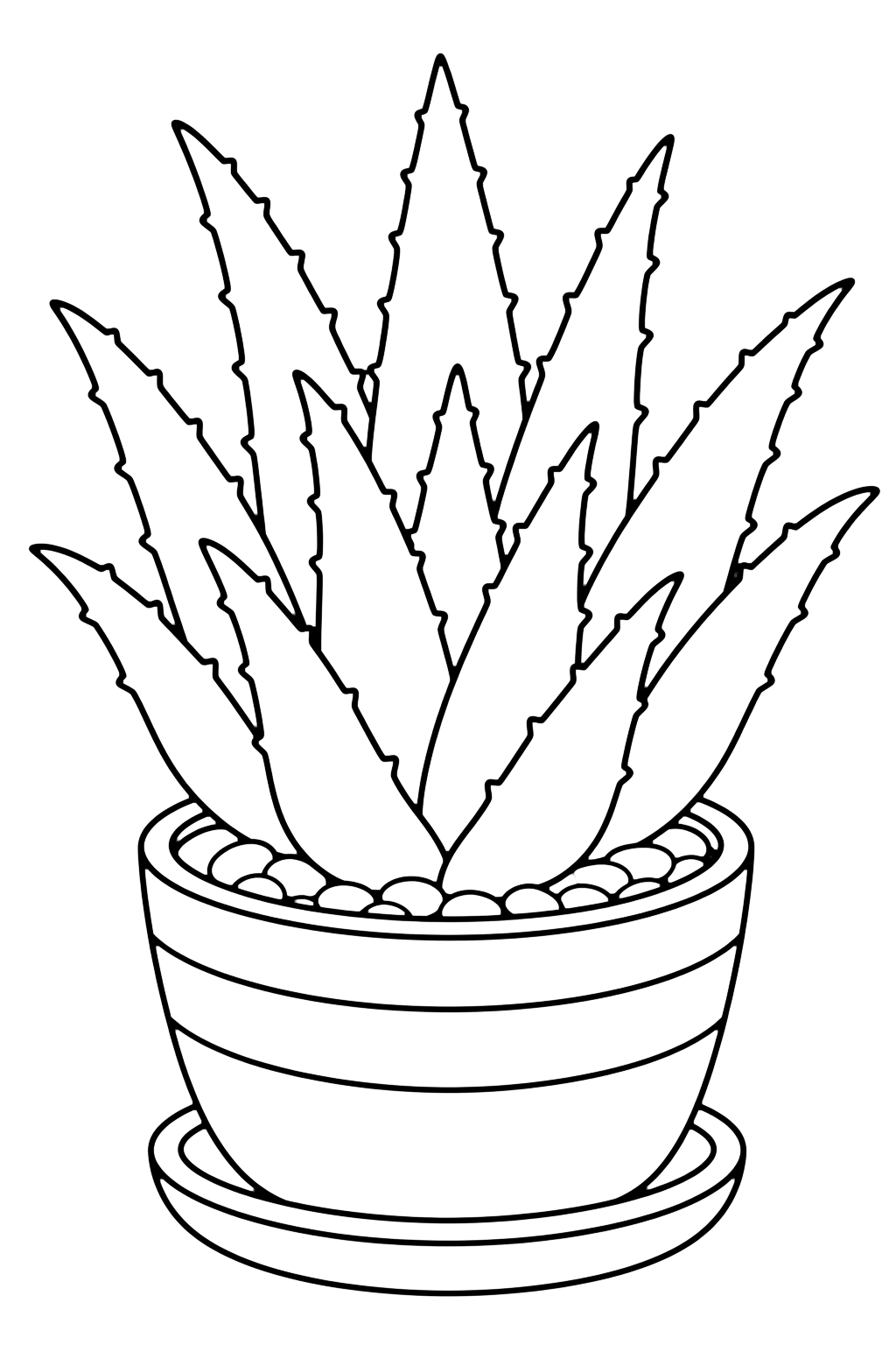Aloe vera en pot à colorier avec une plante d'aloe vera avec des feuilles épaisses et pointues, un pot rayé simple, une petite soucoupe et de minuscules cailloux