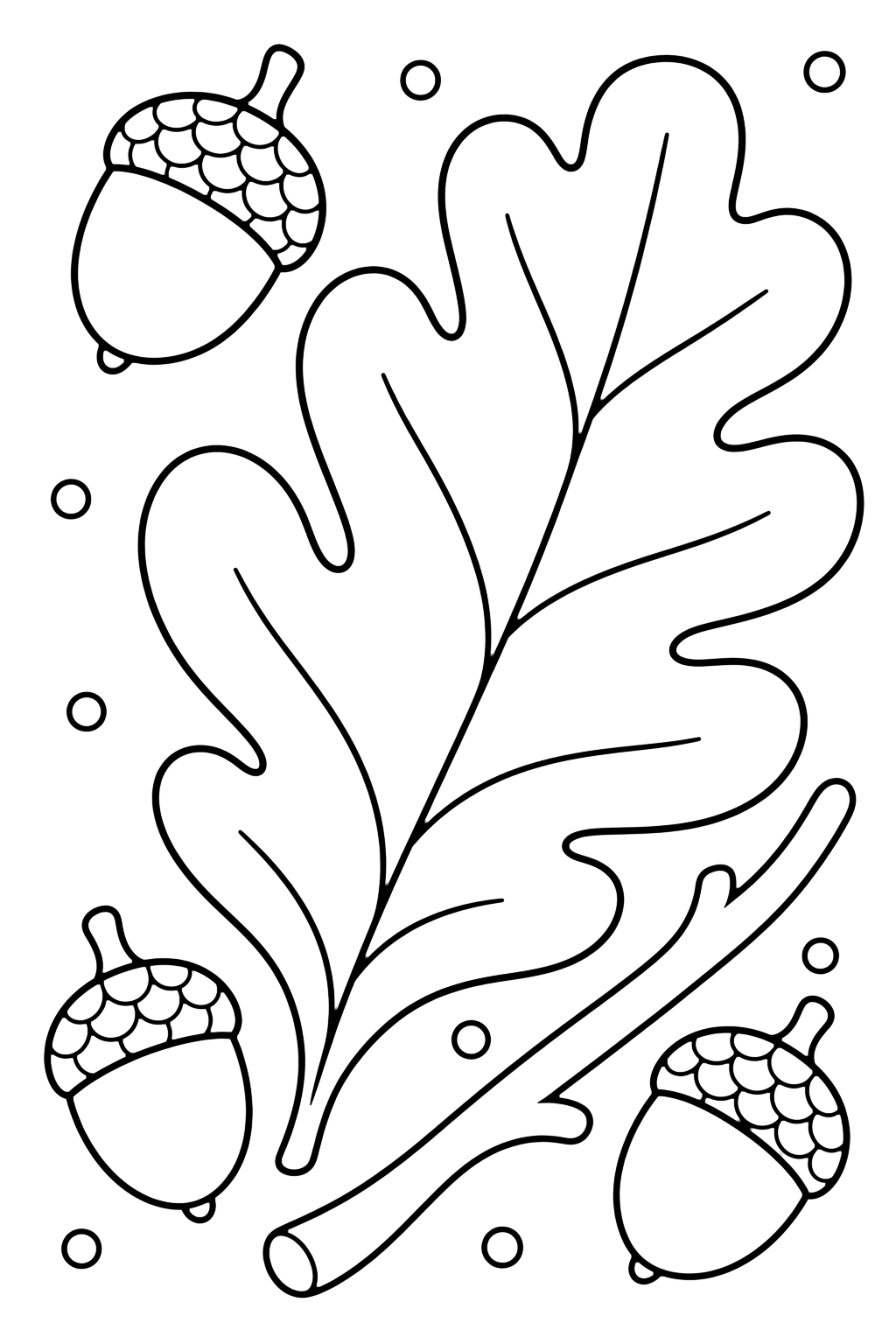 oak leaf and acorns coloring page with one big oak leaf with rounded lobes, three acorns, a curved twig, and small dots around the leaf for kids
