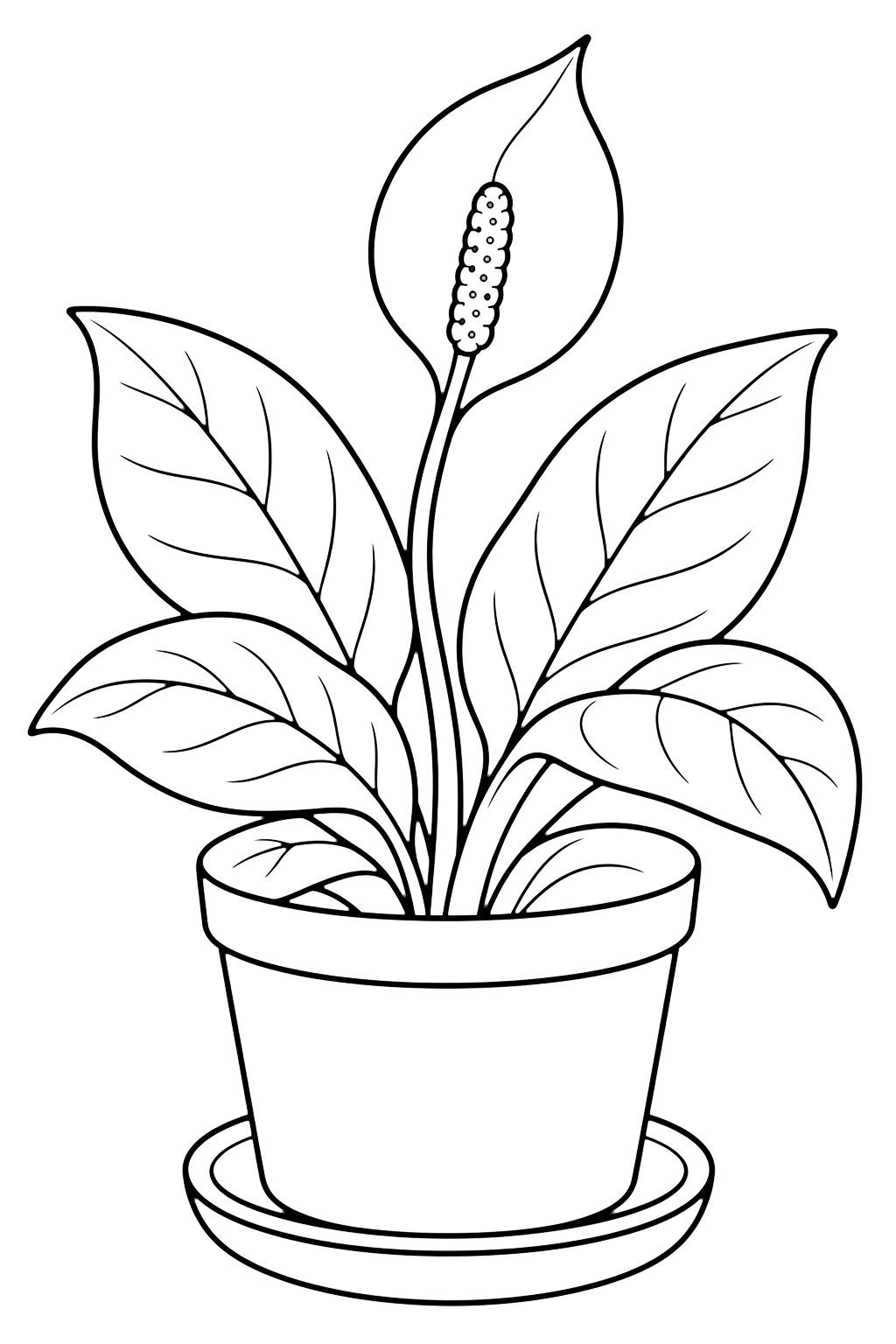 Spathiphyllum con fiore da colorare con uno spathiphyllum in vaso con foglie larghe, un semplice fiore bianco, uno stelo curvo e un sottovaso pulito