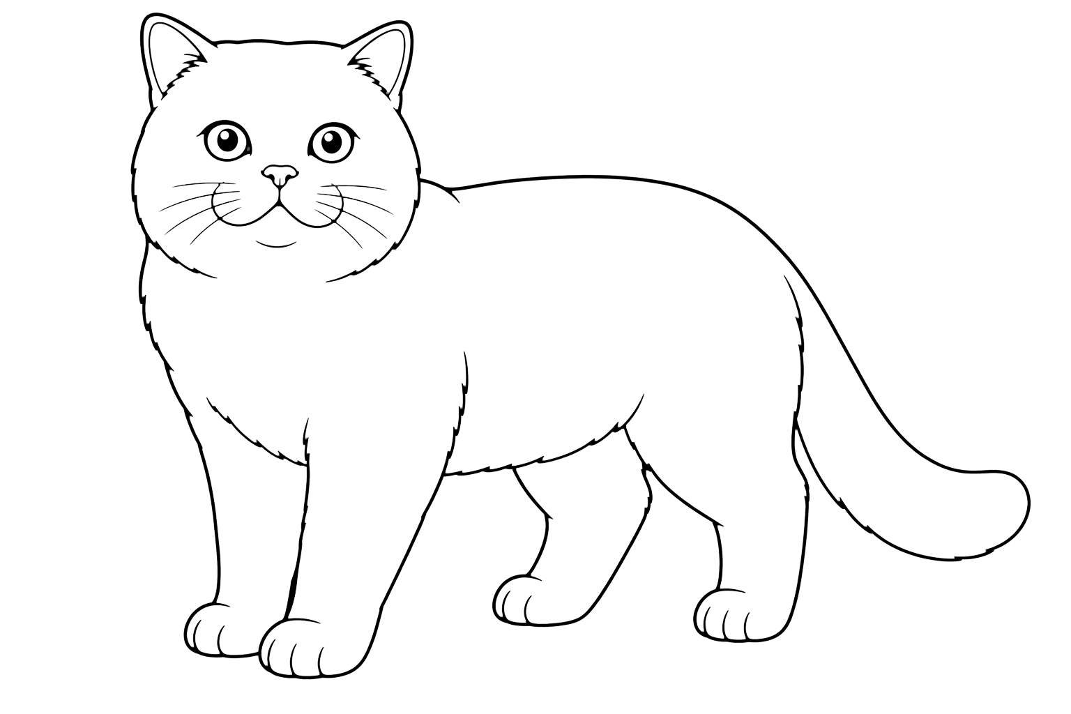 Adult British Shorthair Cat coloring page for kids