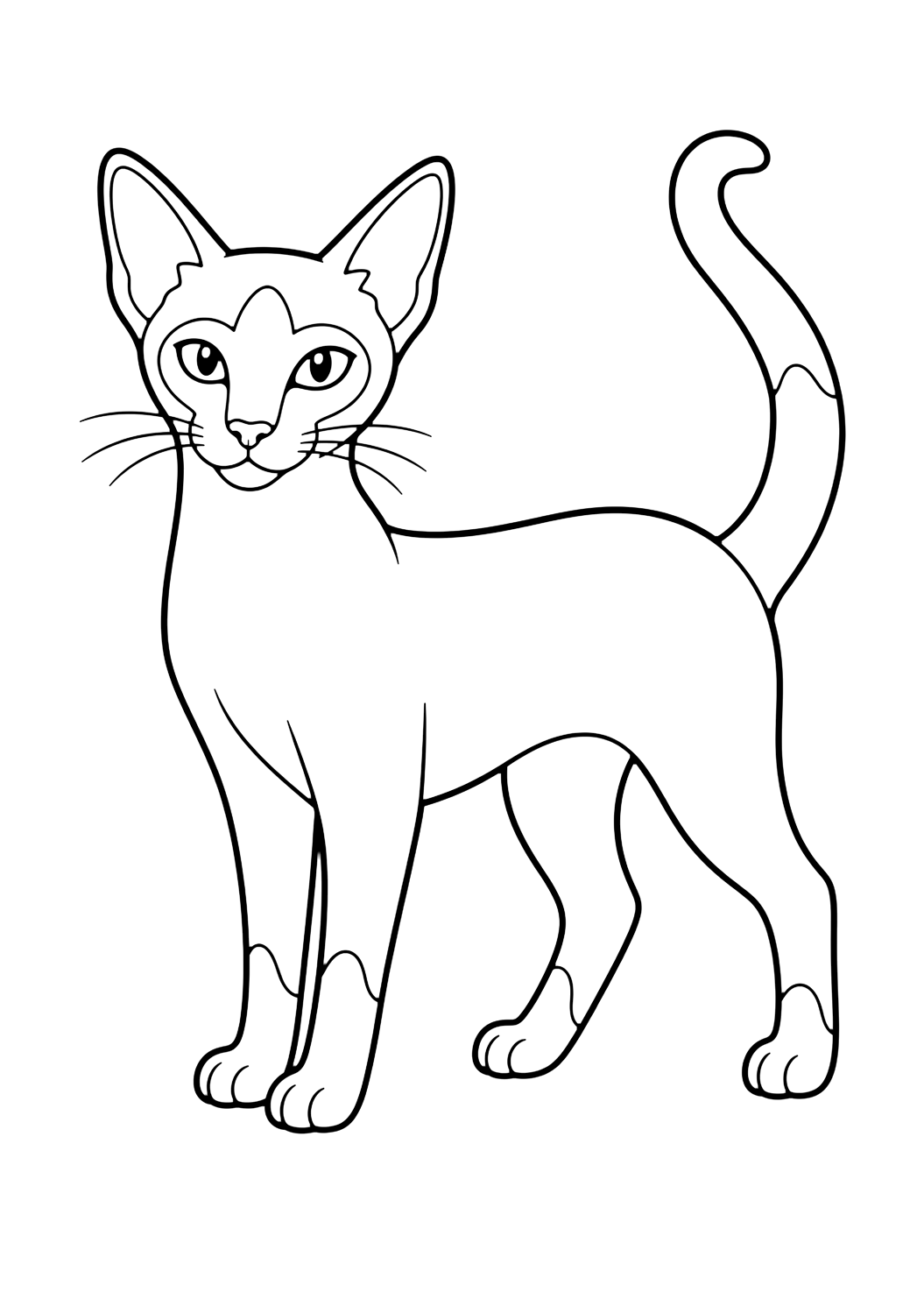 Coloriage chat siamois adulte