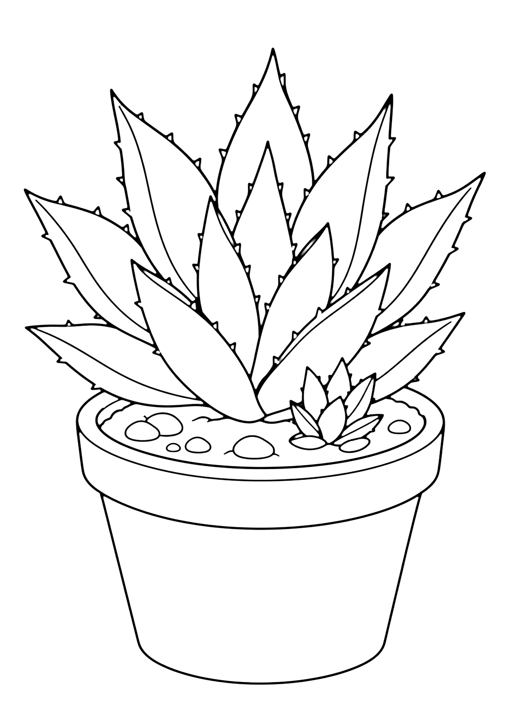 Agave con germoglio da colorare con una succulenta in vaso con foglie chiare, sassolini, un contenitore semplice e spazi chiusi comodi da colorare. Perfetta per i bambini che amano i disegni di succulente da colorare da stampare e colorare online.