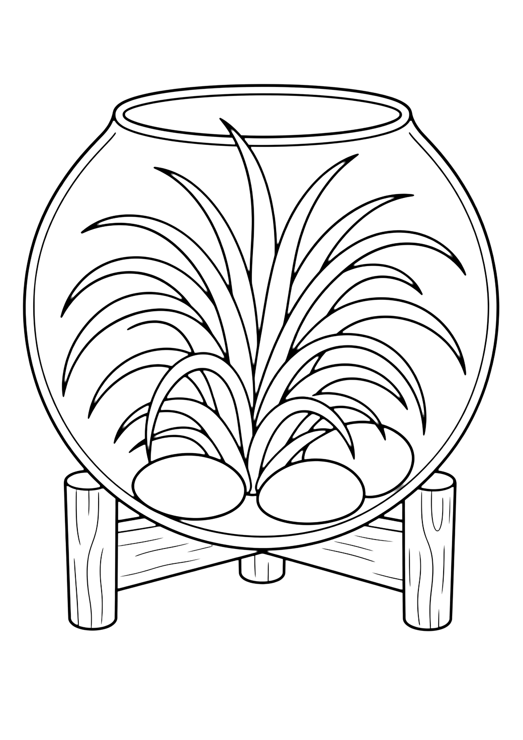 Plante aérienne en terrarium à colorier avec une plante aérienne dans un terrarium rond en verre, des feuilles pointues et courbées, trois galets lisses et un petit support en bois sous le bol. Parfait pour les enfants qui aiment les coloriages de plantes d'intérieur à imprimer et à colorier en ligne.