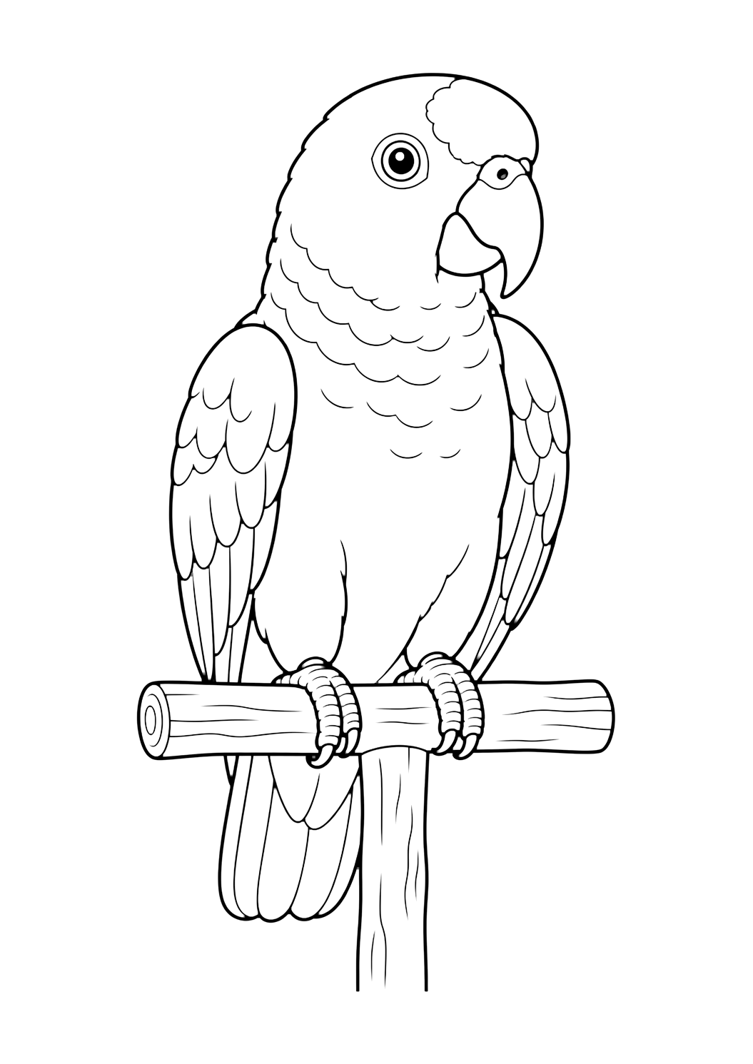 Amazon Parrot on Perch coloring page for kids