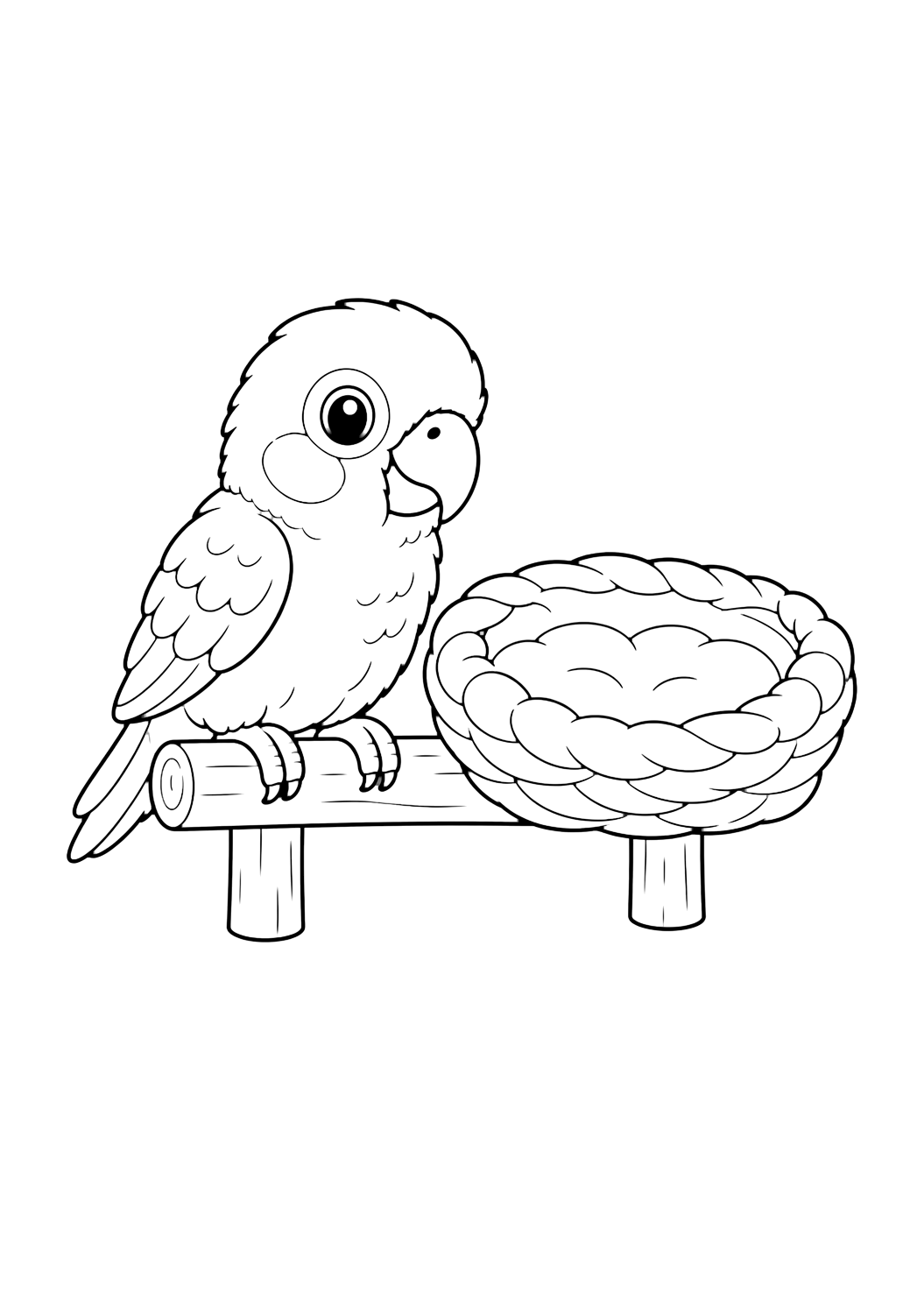 Bebé conure para colorear