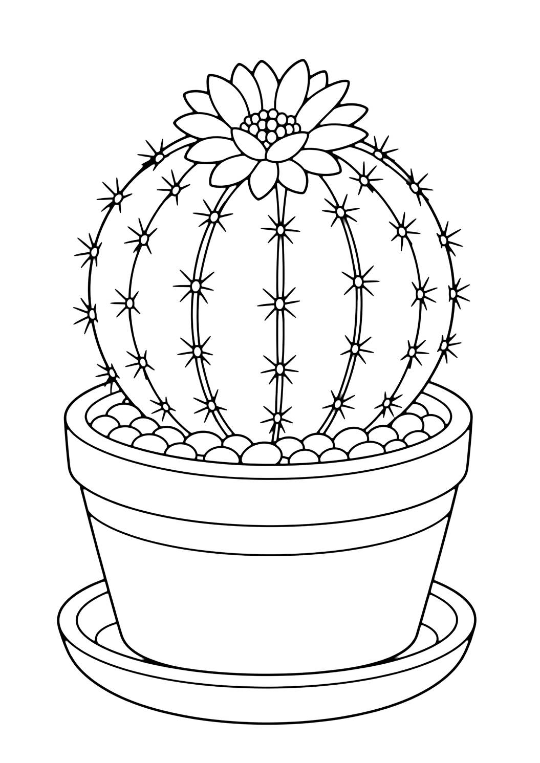 Cactus barile da colorare con un cactus con costolature chiare, piccole spine sicure, vaso o sassolini del deserto e spazi chiusi comodi. Perfetta per i bambini che amano i disegni di cactus da colorare da stampare e colorare online.