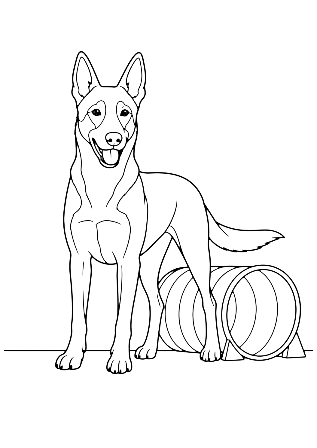 Pastor belga malinois con túnel de agilidad para colorear