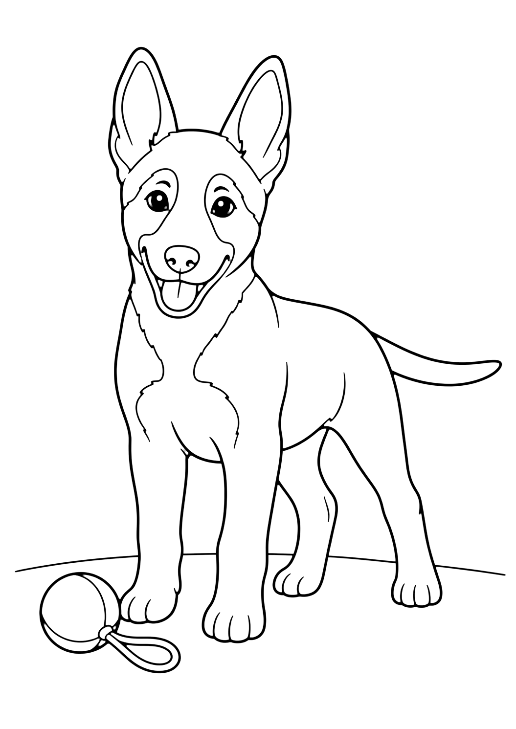 Cucciolo di pastore belga malinois con palla da colorare