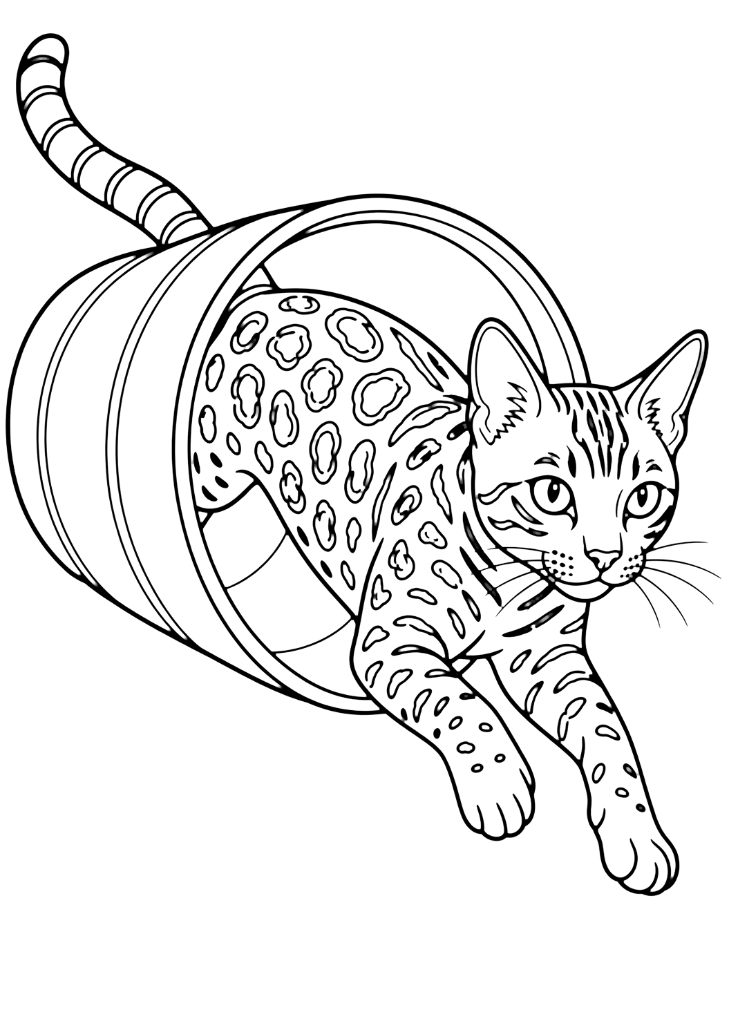 Coloriage chat bengal dans un tunnel