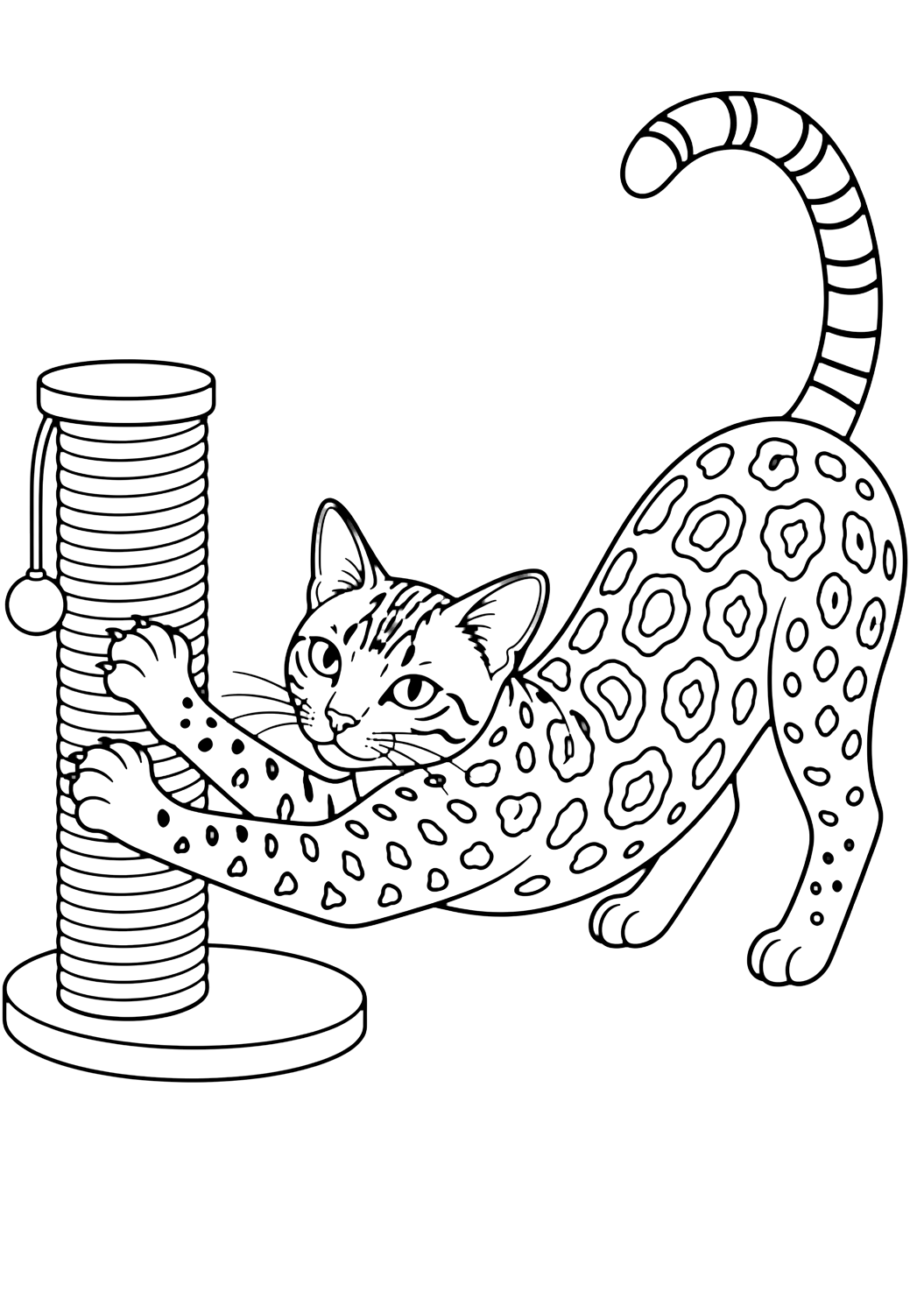 Gato bengalí con rascador para colorear