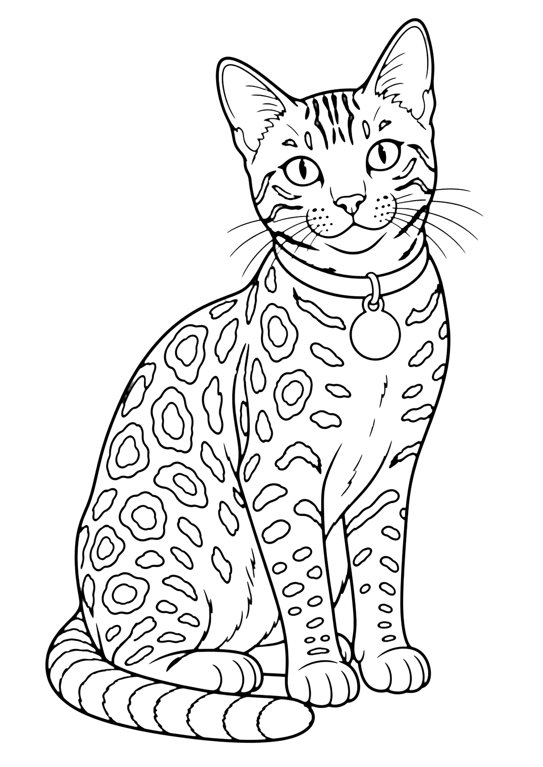 Gatto bengala con collare da colorare