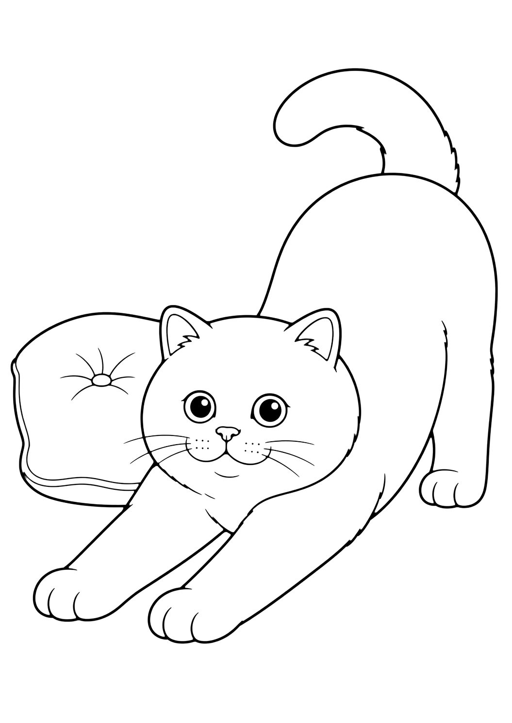 British Shorthair Stretching coloring page for kids