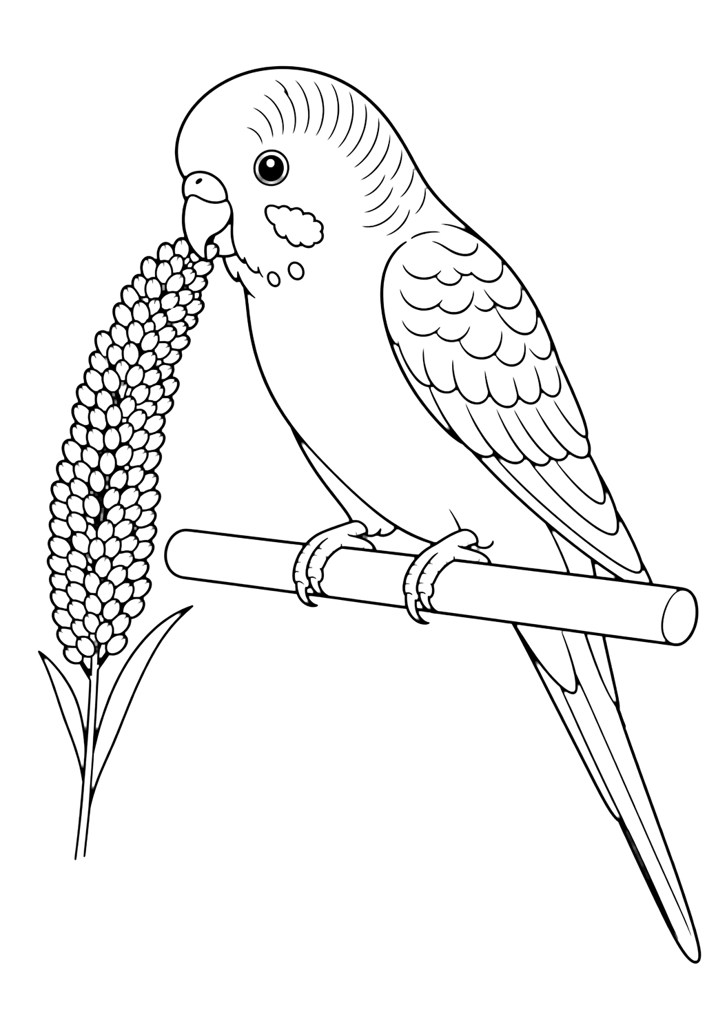 Budgie Eating Millet coloring page for kids