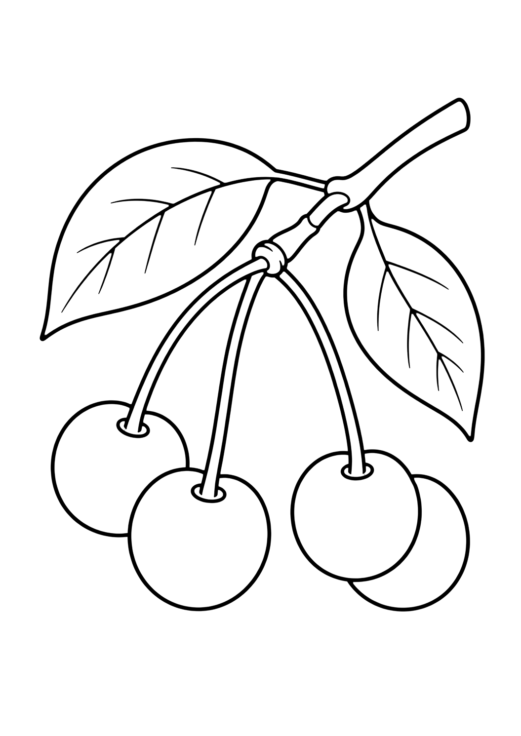 Dibujo de frutas de verano con cerezas en una rama. Ideal para niños, verano, impresión y coloreado online.