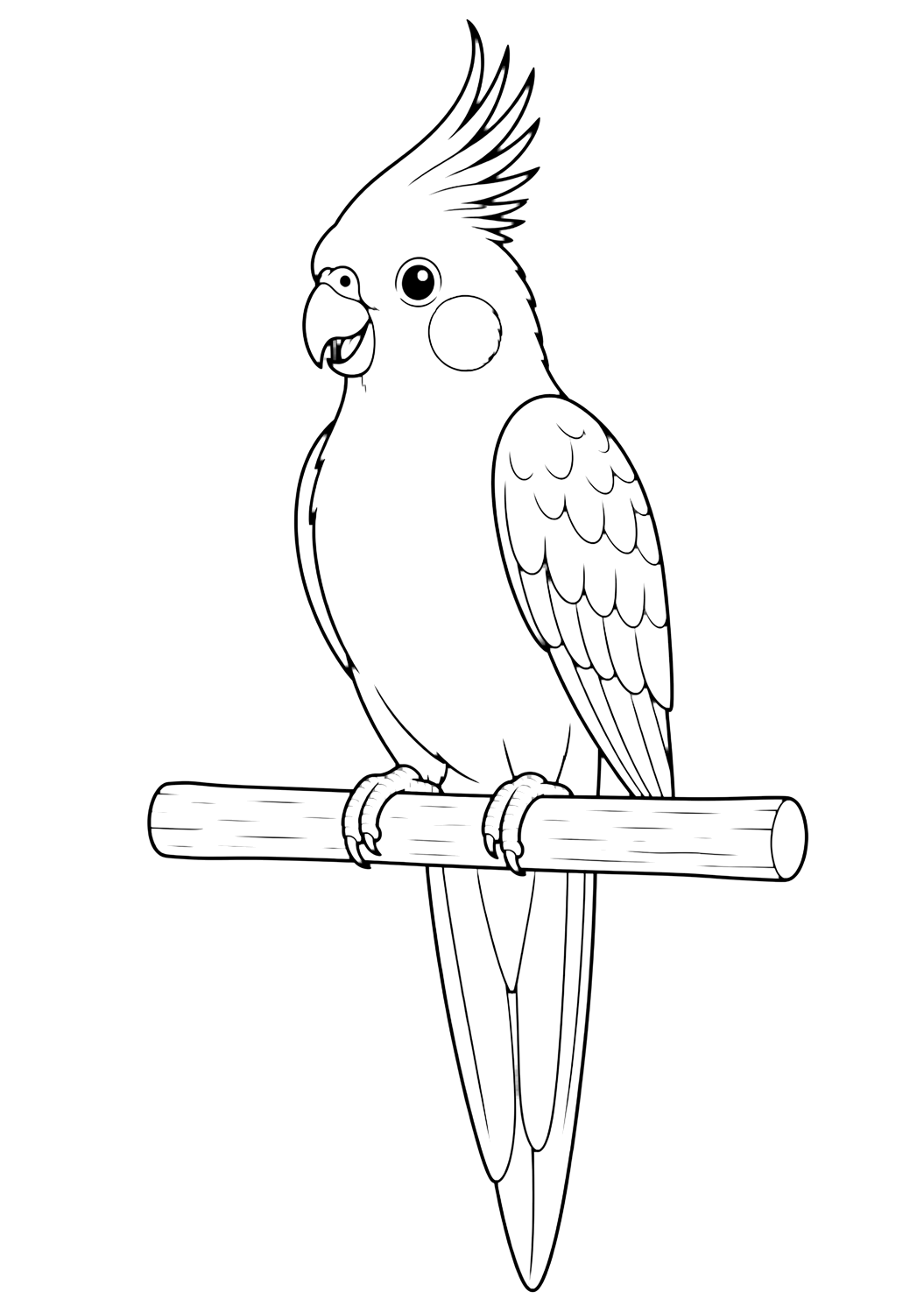 Coloriage calopsitte sur un perchoir