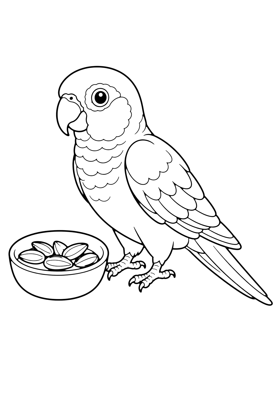 Conure con cuenco de semillas para colorear