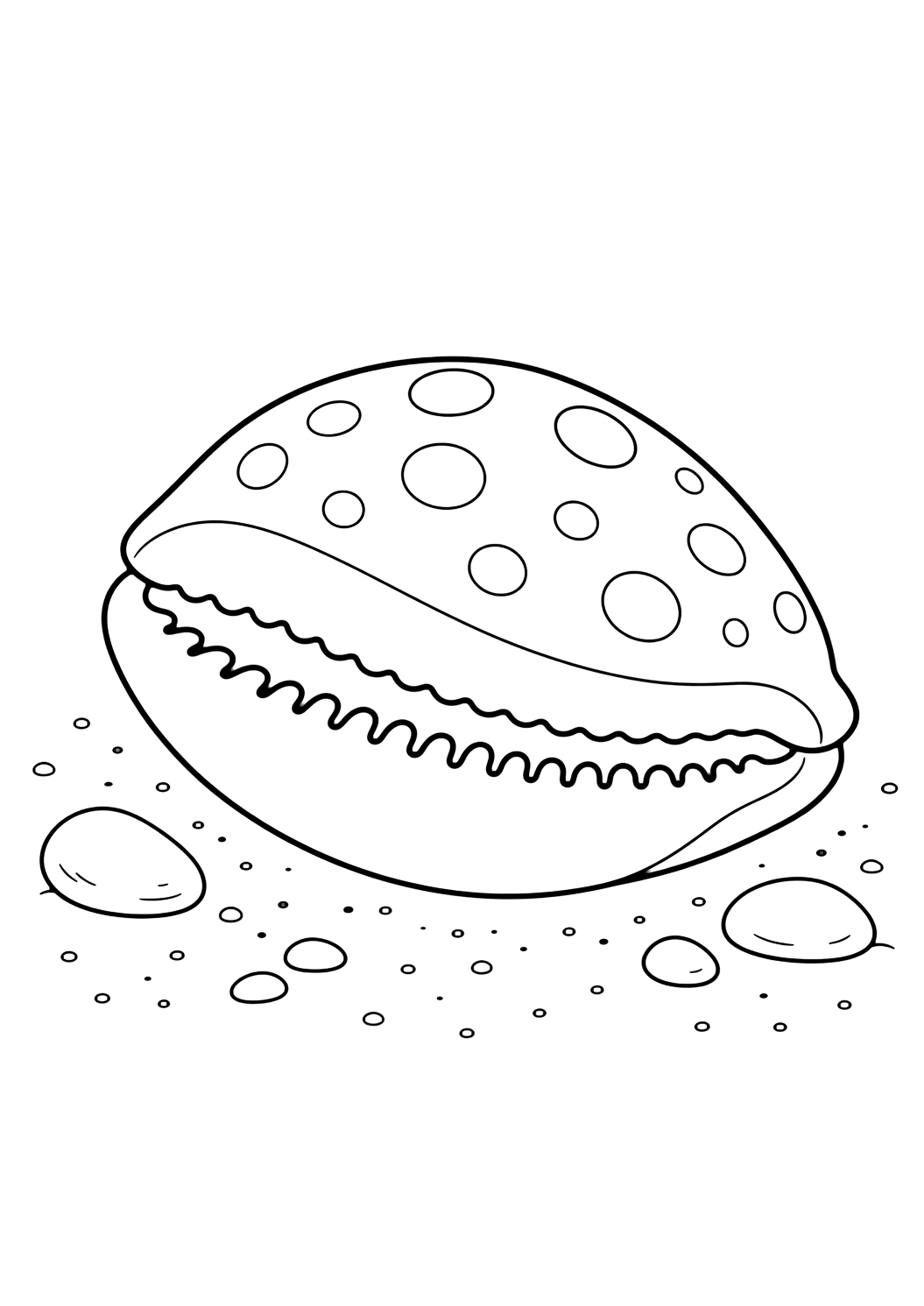 Disegno da colorare con conchiglia ciprea. Adatto a bambini, spiaggia, estate, stampa e colorazione online.