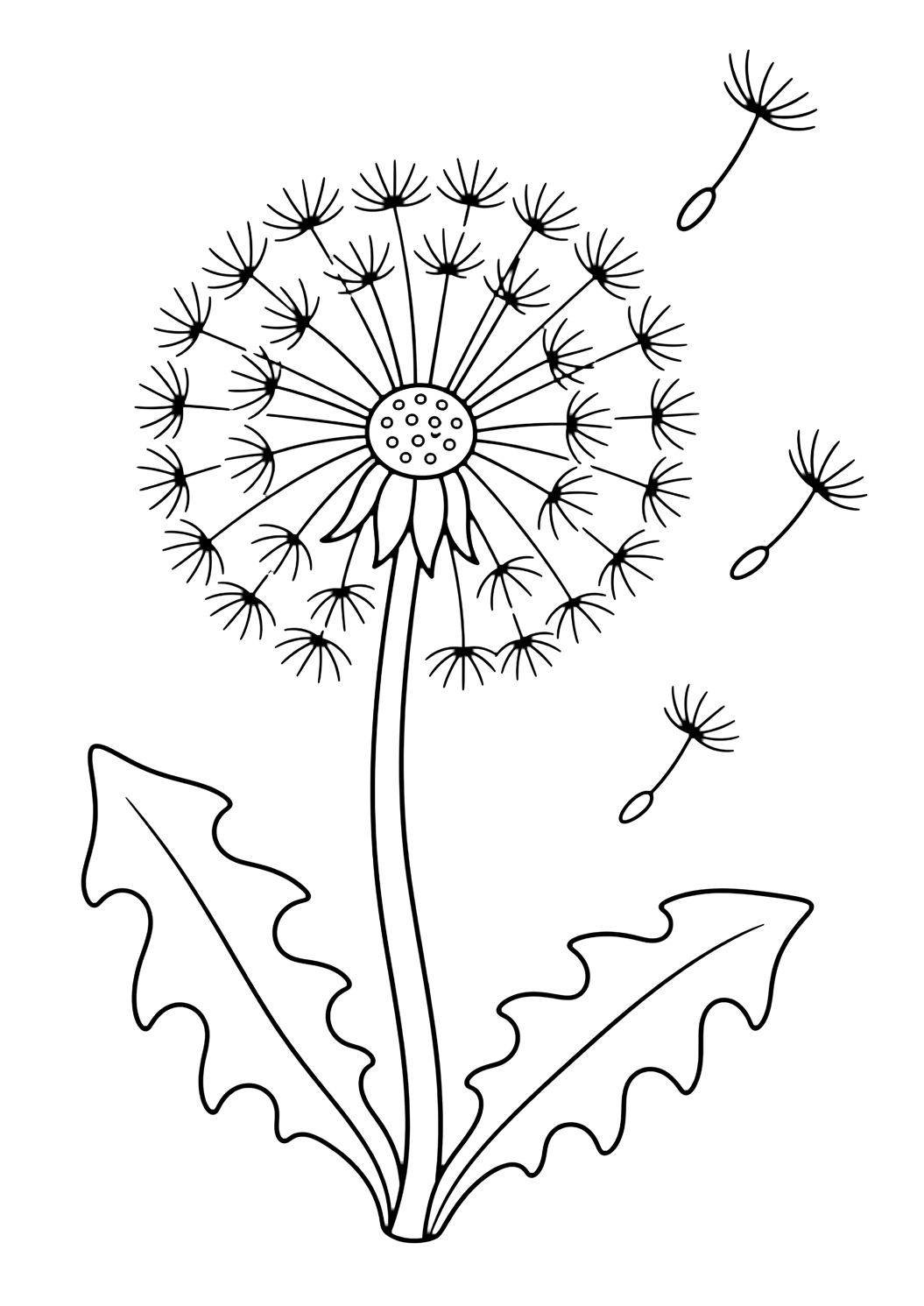 Diente de león con semillas para colorear con un diente de león con cabeza redonda de semillas, tallo curvo, tres semillas flotando y dos hojas sencillas. Ideal para niños que disfrutan flores silvestres para colorear para imprimir y colorear online.