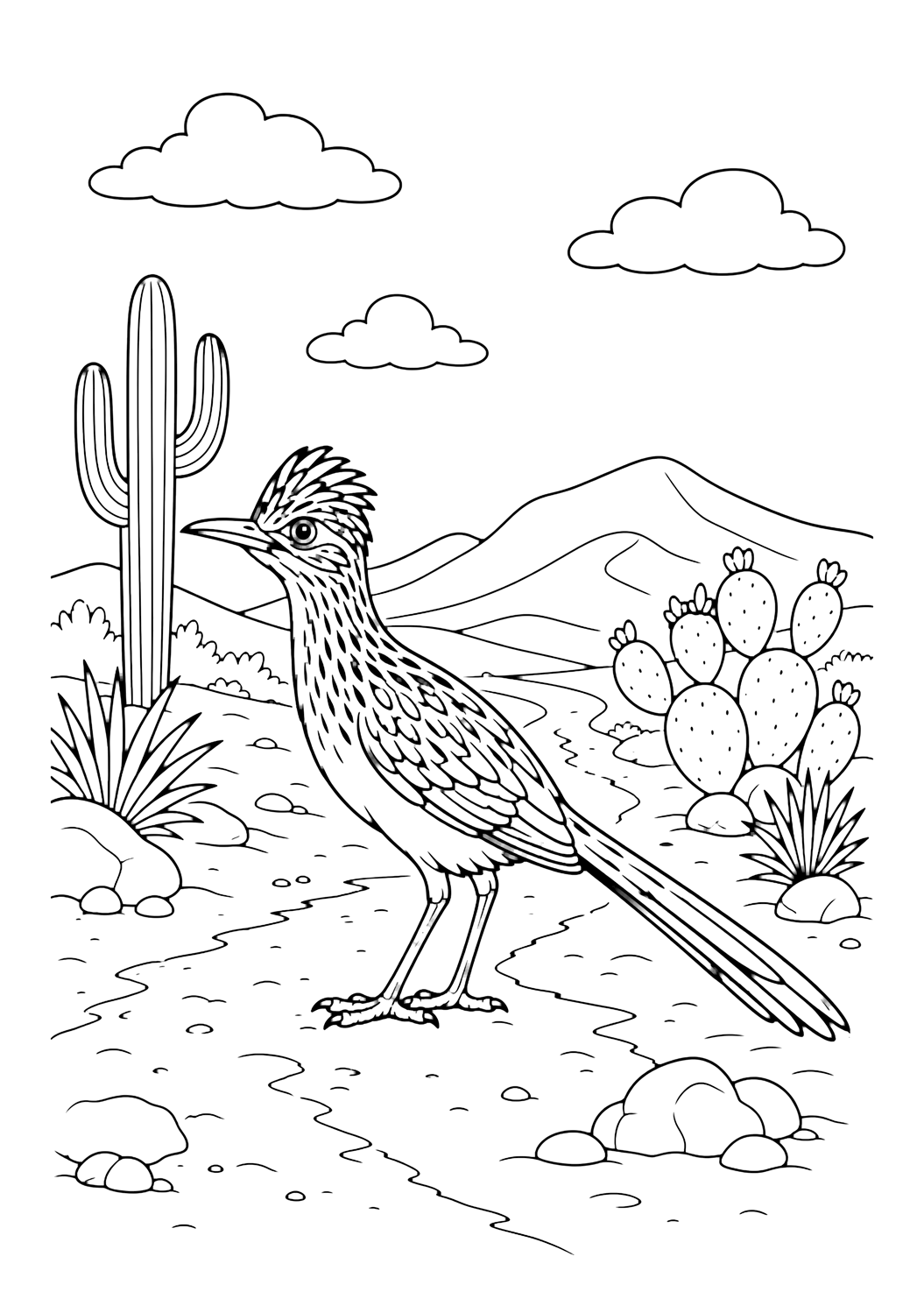 Wüstenrennkuckuck Ausmalbild