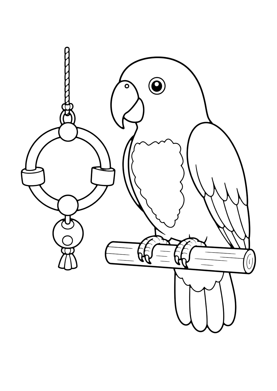 Loro eclectus con anillo de juguete para colorear