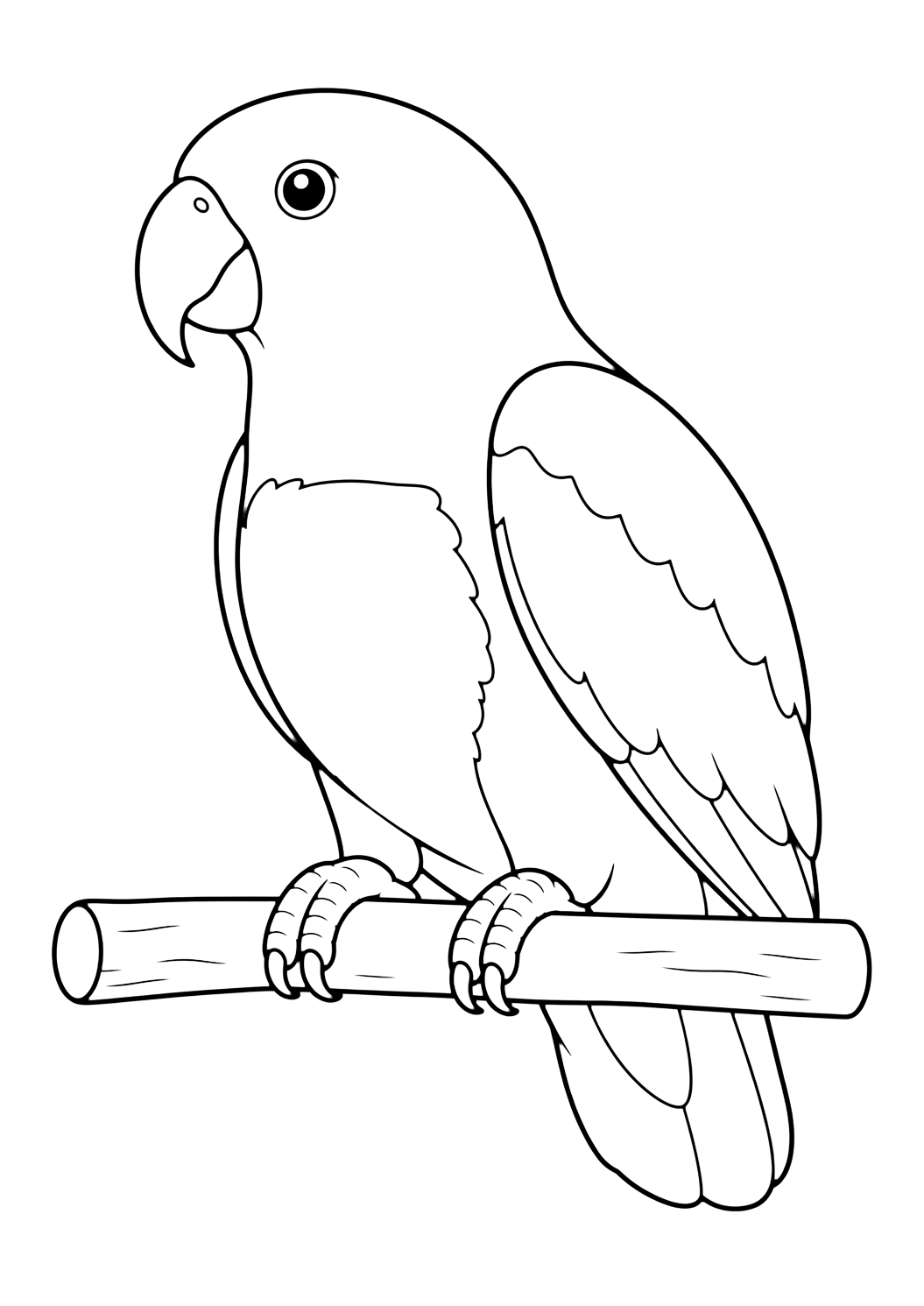 Loro eclectus hembra para colorear
