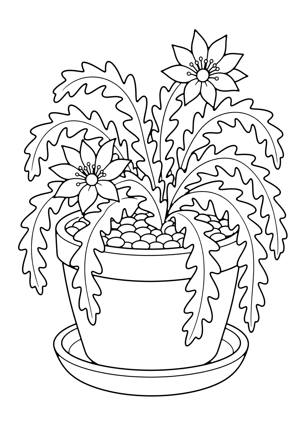 Cactus arête de poisson à colorier avec un cactus avec côtes nettes, petites épines douces, pot ou cailloux du désert et espaces fermés confortables. Parfait pour les enfants qui aiment les coloriages de cactus à imprimer et à colorier en ligne.