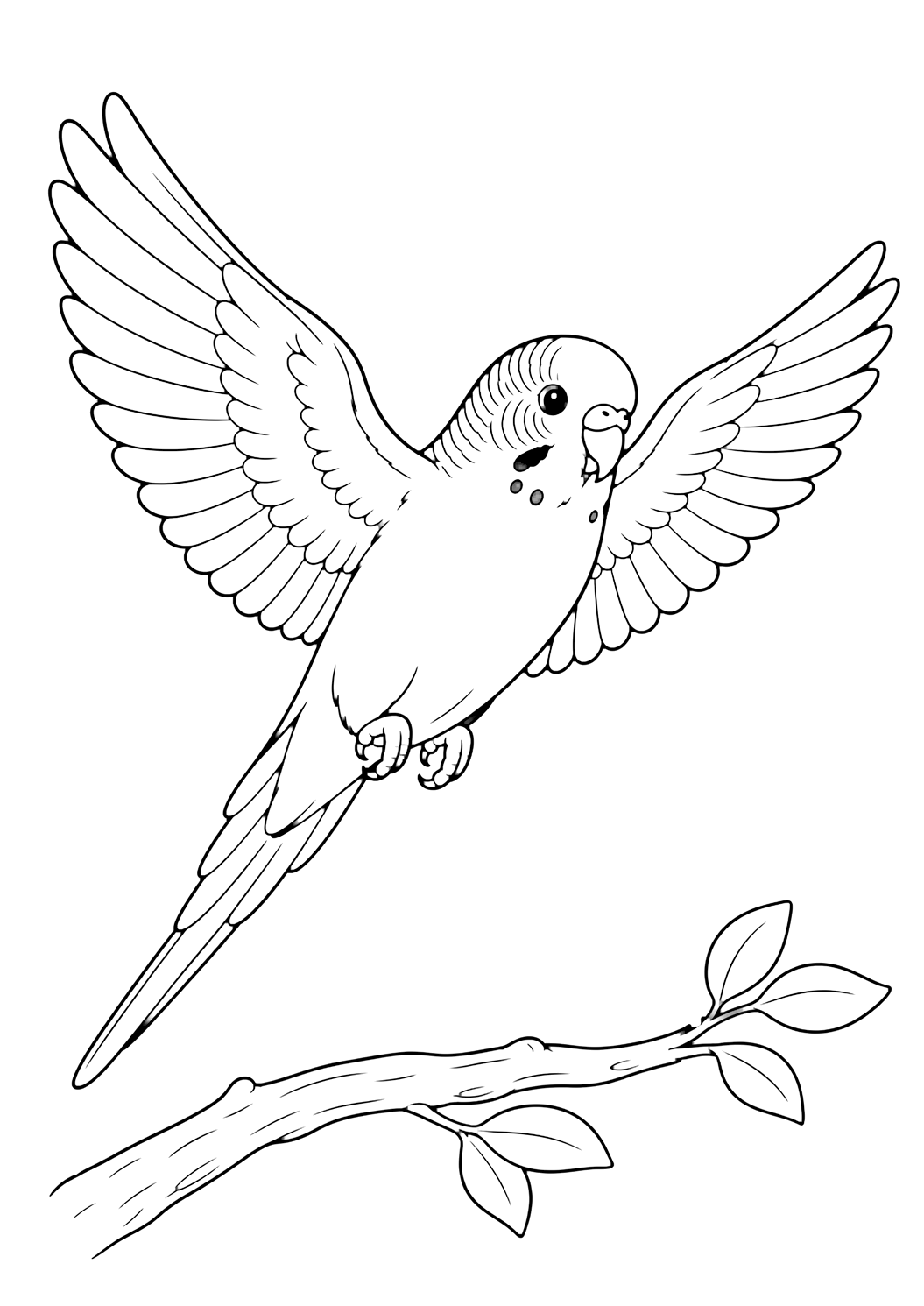Periquito volando para colorear