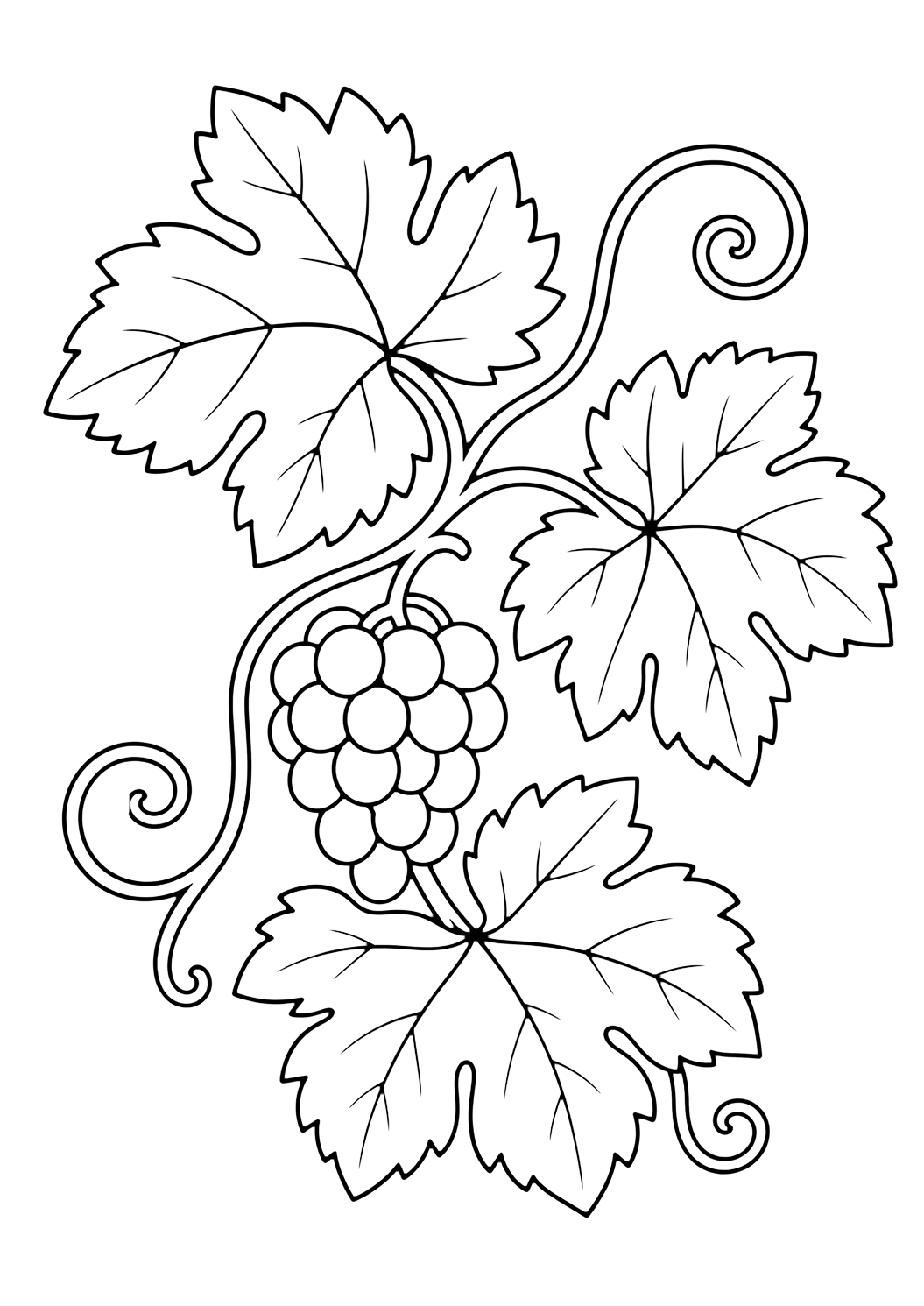 Hojas de parra para colorear con una rama o grupo de hojas con formas claras, venas, tallos y pequeños detalles naturales. Ideal para niños que disfrutan hojas para colorear para imprimir y colorear online.