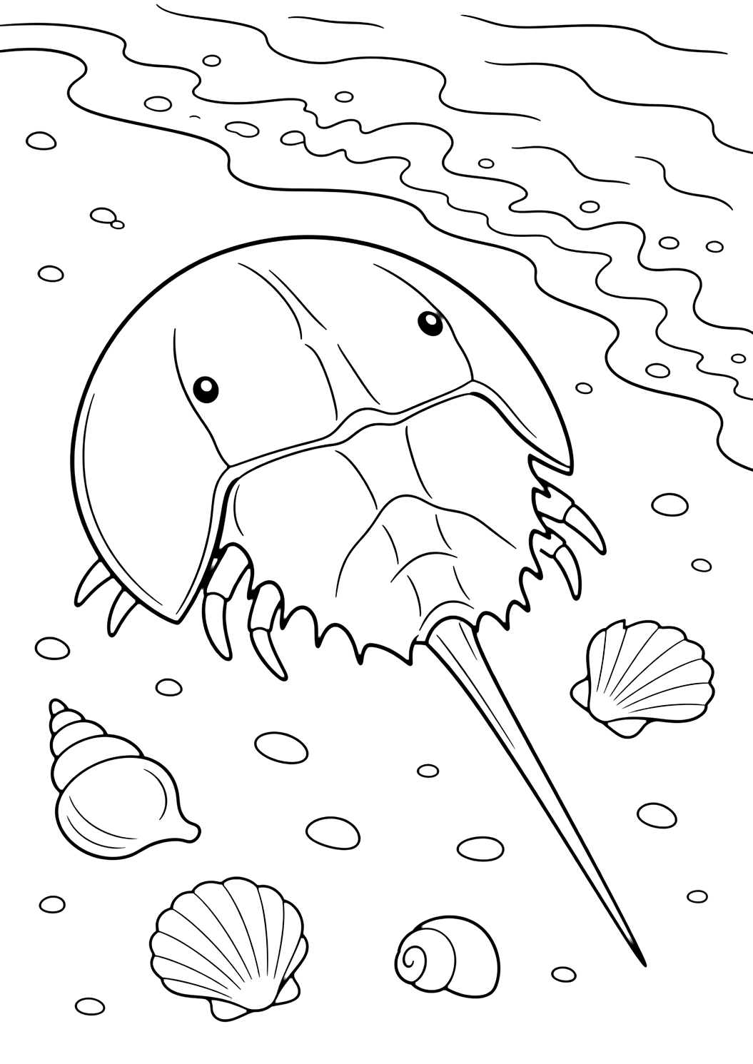 Coloriage avec Limule. Idéal pour enfants, thèmes de l'océan, impression et coloriage en ligne.