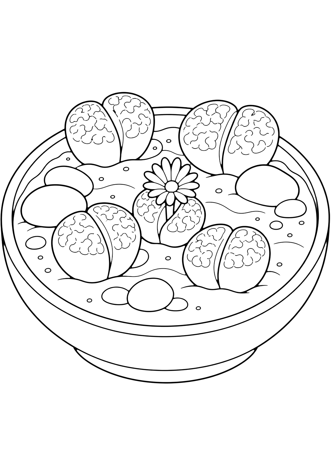 Lithops pietre vive da colorare con una succulenta in vaso con foglie chiare, sassolini, un contenitore semplice e spazi chiusi comodi da colorare. Perfetta per i bambini che amano i disegni di succulente da colorare da stampare e colorare online.