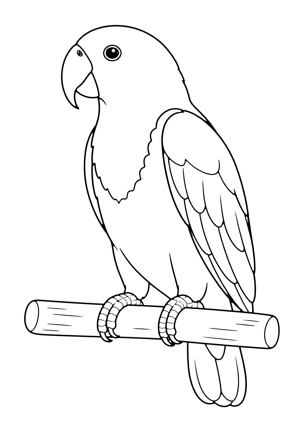 Loro eclectus macho para colorear