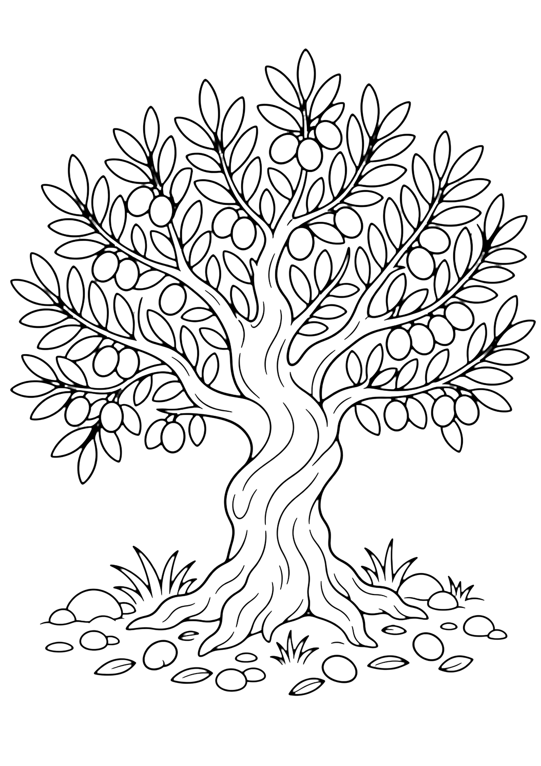 Olivo para colorear con un árbol con tronco claro, copa con hojas, frutos o detalles naturales, hierba y espacios cerrados cómodos. Ideal para niños que disfrutan árboles para colorear para imprimir y colorear online.