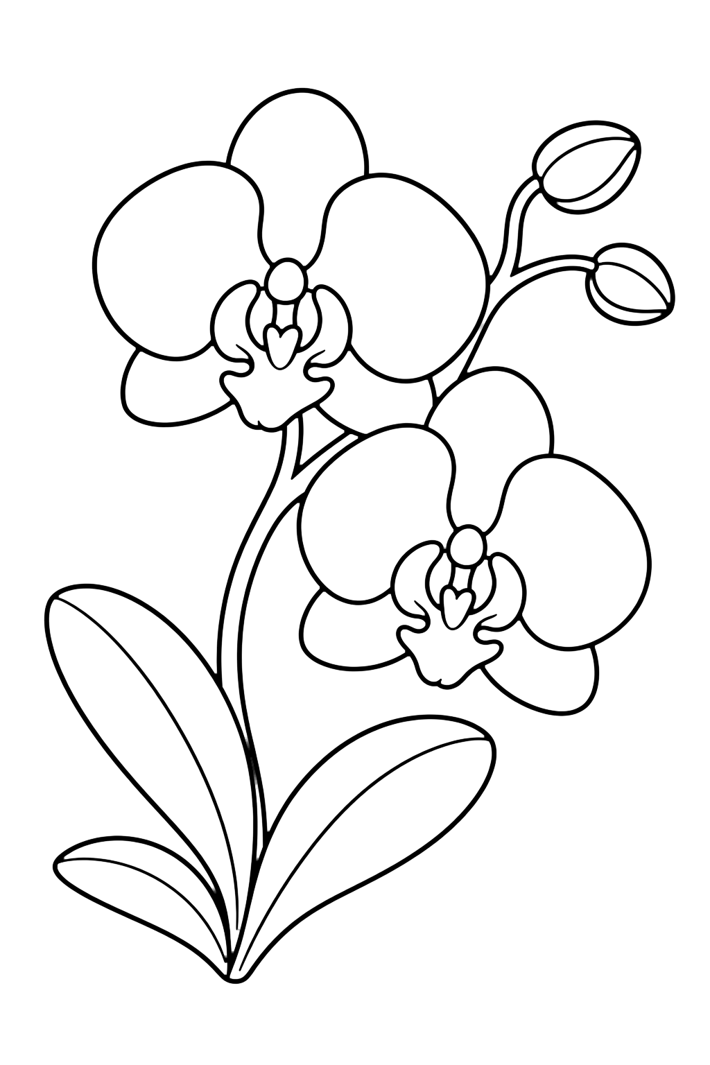 Rama de orquídea para colorear con rama de orquídea con flores de orquídea, capullos, tallos curvos, hojas anchas y detalles decorativos sencillos. Ideal para niños que disfrutan orquídeas para colorear para imprimir y colorear online.