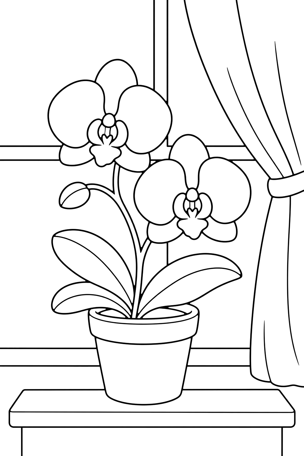 Orchidea sul davanzale da colorare con orchidea sul davanzale con fiori di orchidea, boccioli, steli curvi, foglie larghe e semplici dettagli decorativi. Perfetta per i bambini che amano i disegni di orchidee da colorare da stampare e colorare online.