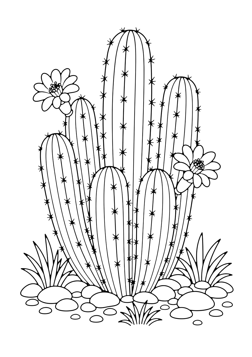 Cactus canna d'organo da colorare con un cactus con costolature chiare, piccole spine sicure, vaso o sassolini del deserto e spazi chiusi comodi. Perfetta per i bambini che amano i disegni di cactus da colorare da stampare e colorare online.