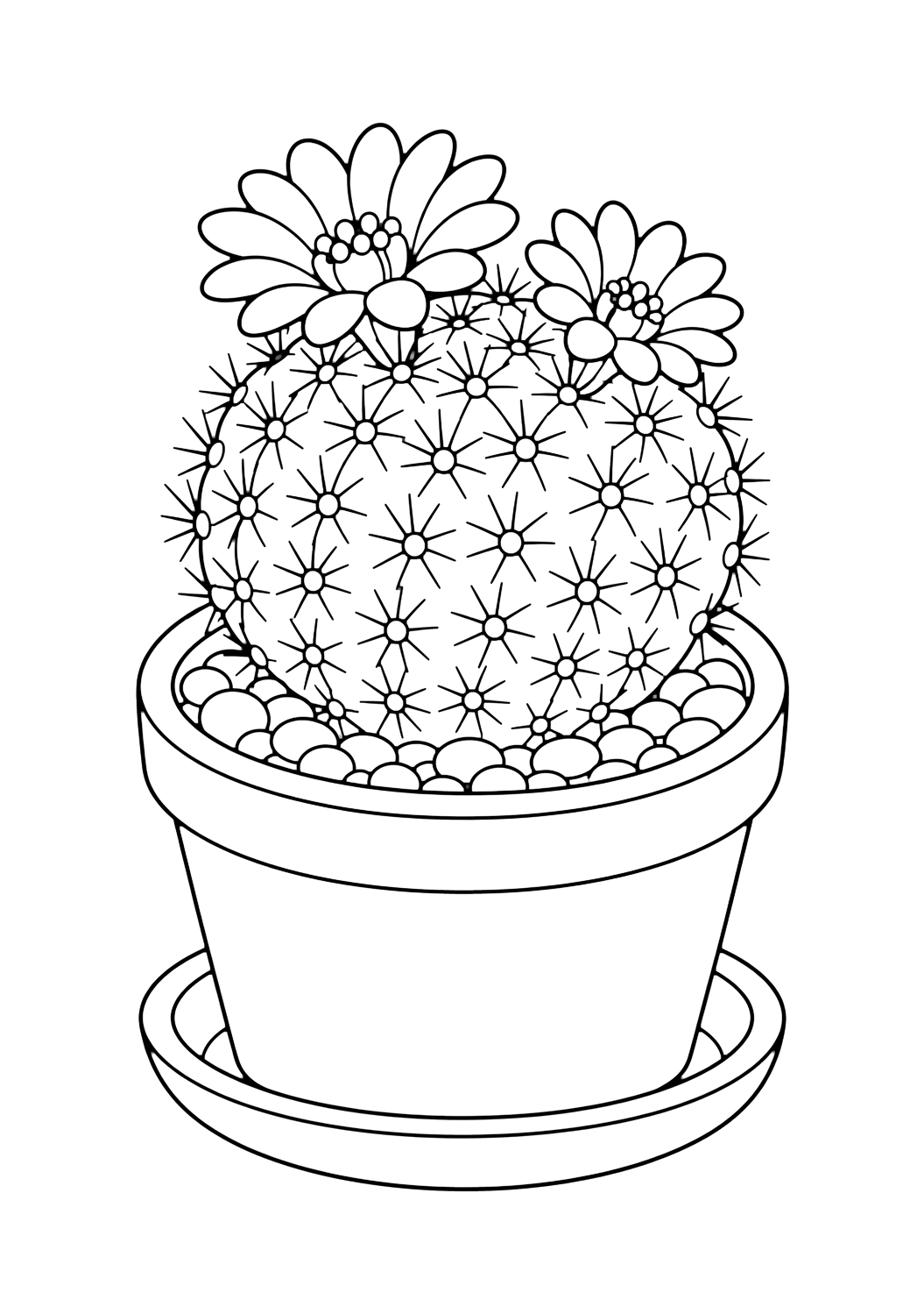 Cactus puntaspilli da colorare con un cactus con costolature chiare, piccole spine sicure, vaso o sassolini del deserto e spazi chiusi comodi. Perfetta per i bambini che amano i disegni di cactus da colorare da stampare e colorare online.