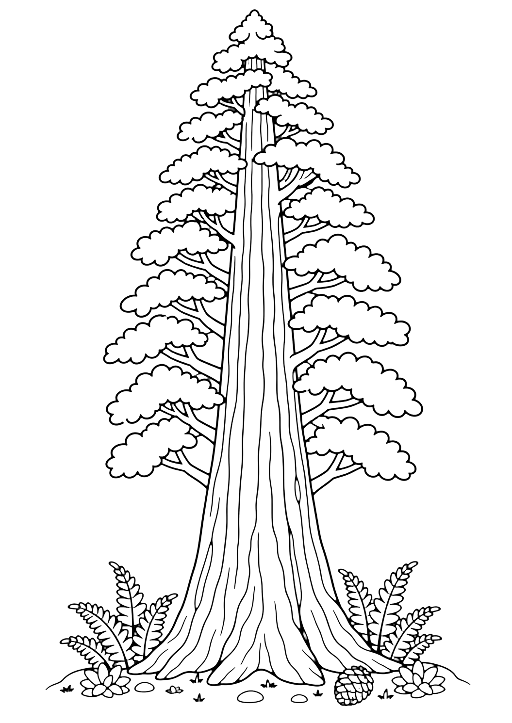 Secuoya para colorear con un árbol con tronco claro, copa con hojas, frutos o detalles naturales, hierba y espacios cerrados cómodos. Ideal para niños que disfrutan árboles para colorear para imprimir y colorear online.