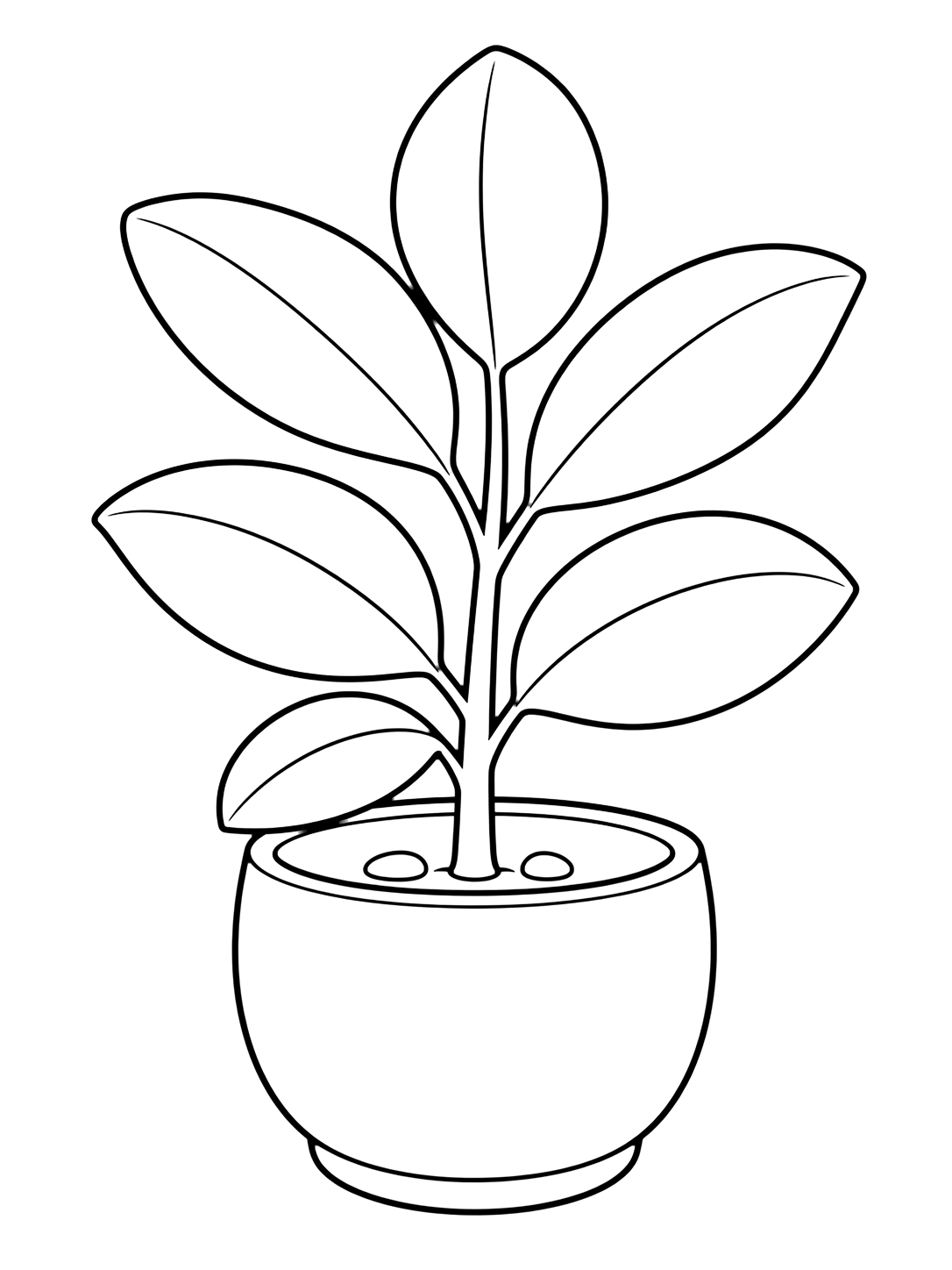 Plante caoutchouc à colorier avec une plante caoutchouc dans un pot rond, six larges feuilles ovales, une tige centrale solide et deux petits cailloux sur la terre. Parfait pour les enfants qui aiment les coloriages de plantes d'intérieur à imprimer et à colorier en ligne.