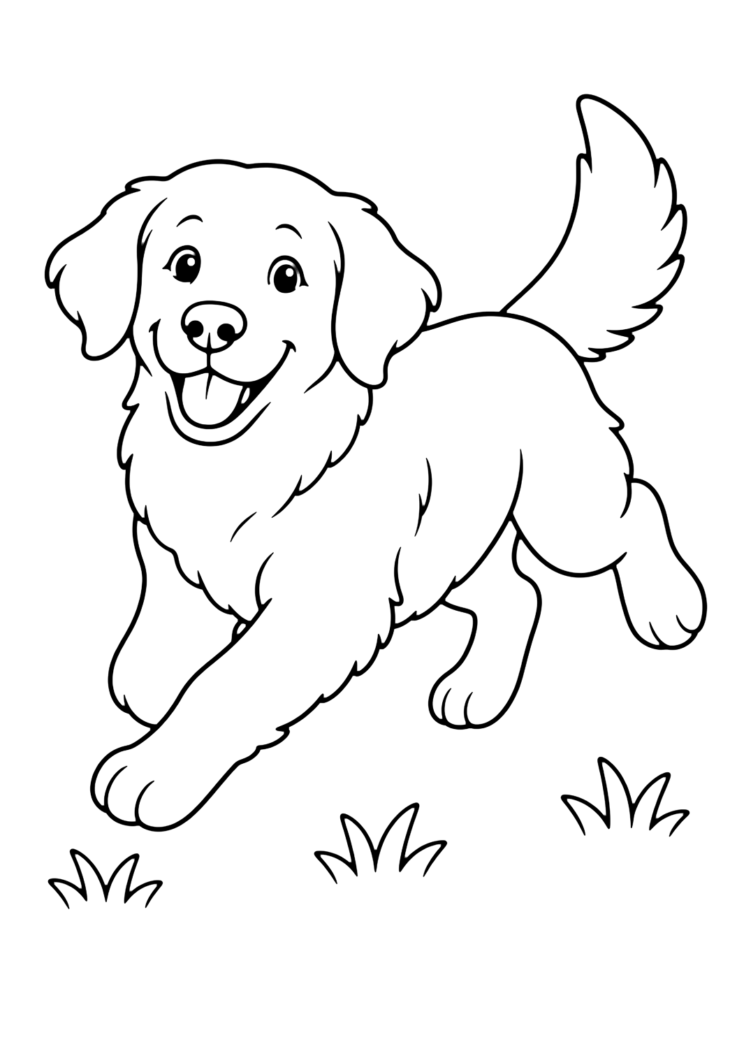 Golden Retriever corriendo para colorear