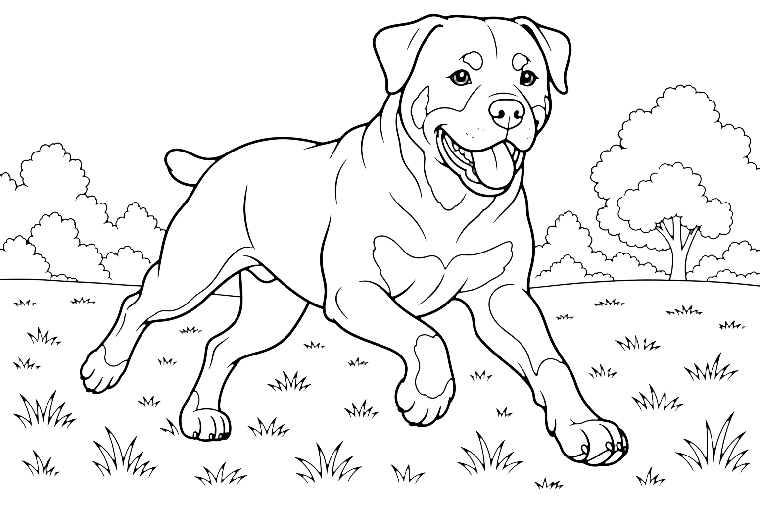 Rottweiler corriendo para colorear