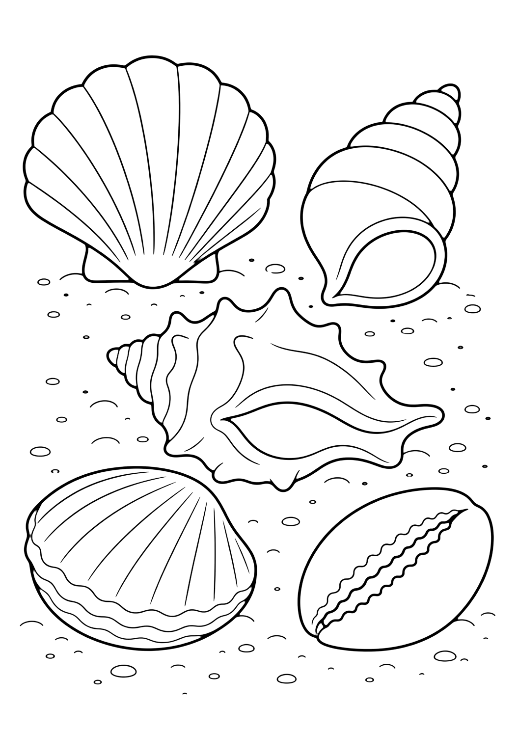 Dibujo para colorear con colección de conchas. Ideal para niños, playa, verano, impresión y coloreado online.