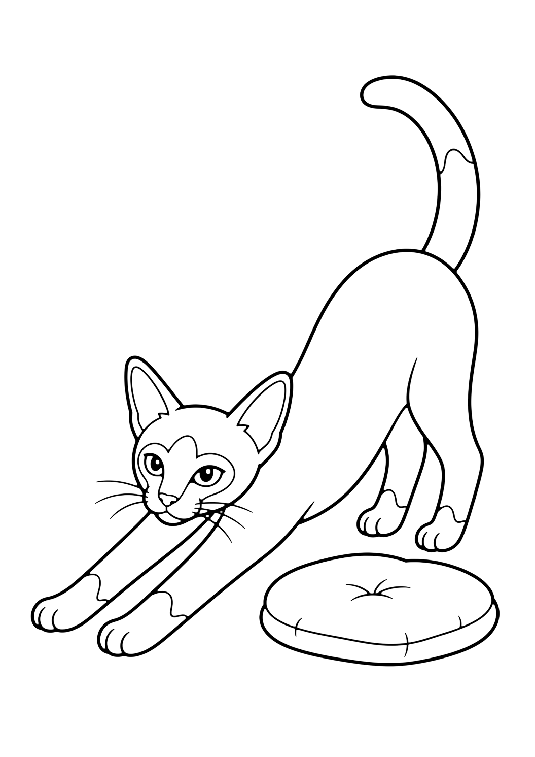 Coloriage chat siamois qui s'étire