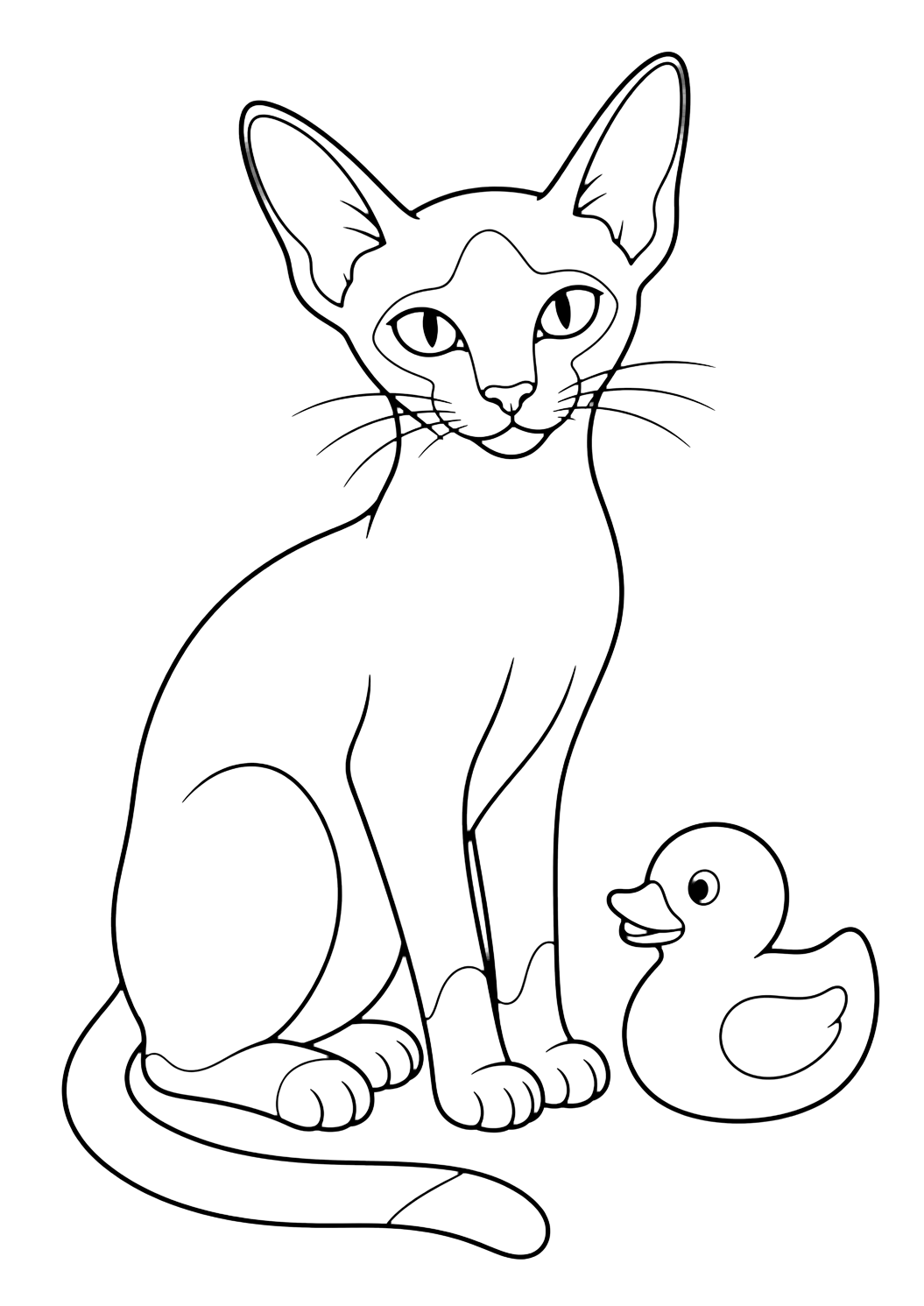 Coloriage chat siamois avec canard jouet