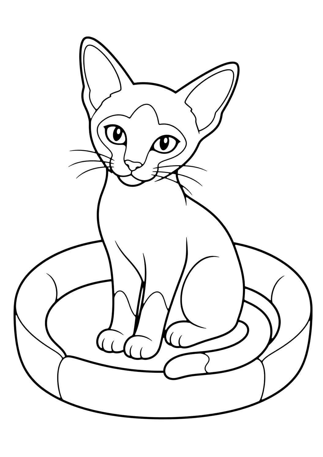 Coloriage chaton siamois dans un panier-lit